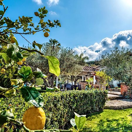 B&B Villa Bency Capo dʼOrlando Екстериор снимка