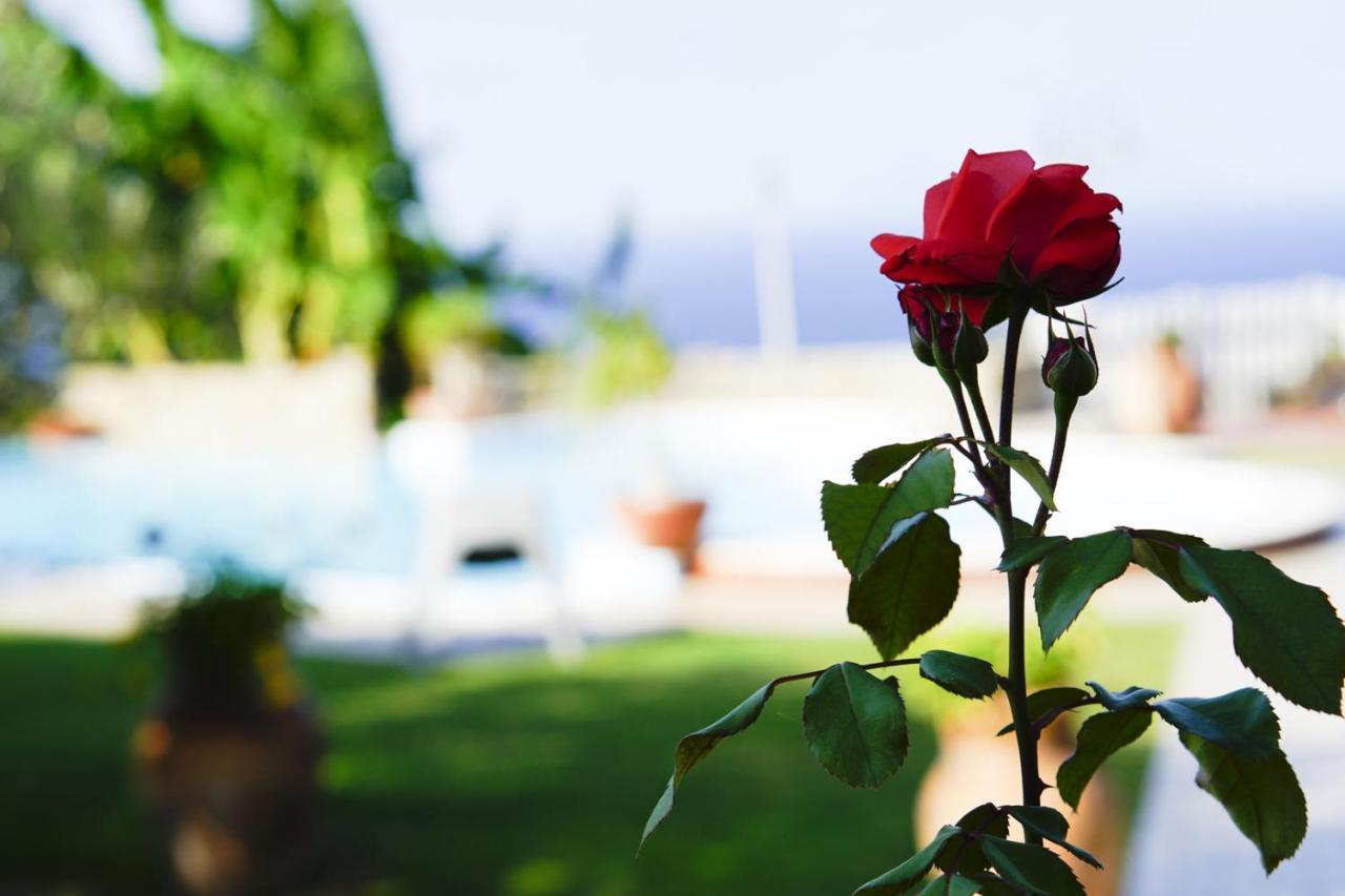 B&B Villa Bency Capo dʼOrlando Екстериор снимка
